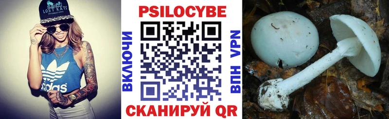 наркота  Чудово  блэк спрут как зайти  Псилоцибиновые грибы ЛСД 